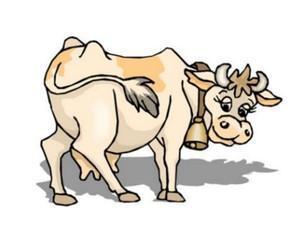 属鼠配属牛配对关系好不好 你们配对结果如何