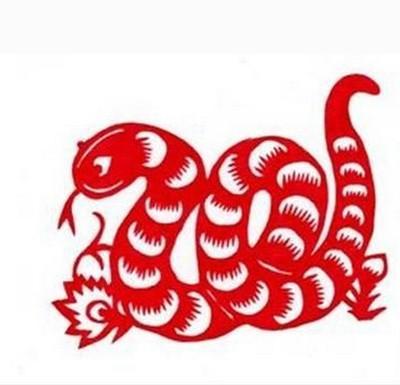 属蛇的孩子应该如何在2025年中提升文昌运
