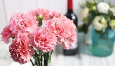 常春藤的花语是什么，它的寓意是什么