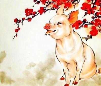 属龙人2025年桃花运,2025属龙的桃花位在哪