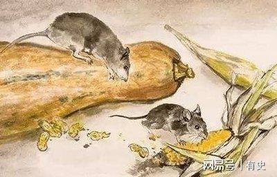 属蛇的跟属鼠的合不合 属蛇与属鼠的配对结果如何