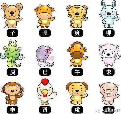属蛇相克的属相，属蛇与什么属相相克