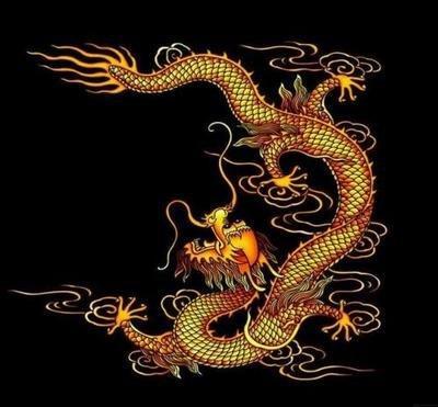 属龙人一生的命运，属龙的命运好不好