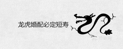 属龙人和属虎人能结婚生子吗 龙虎婚配不好吗