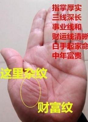 常见的聚财手相特征都有哪些财运滚滚