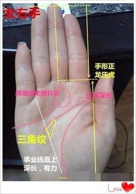 常见的聚财手相特征都有哪些财运滚滚