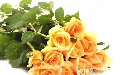 属马2025年财运怎么样 蛇年属马人几月份财运好