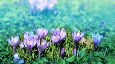 年中撞大运 财运稳定提升 财富收入羡煞旁人的生肖