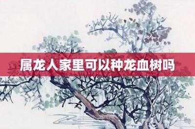 属龙人适合养什么植物 哪些植物能给属龙人带来好运