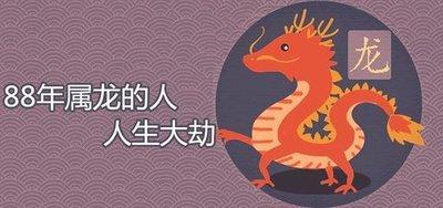 属龙农历一月出生的人 你们的人生坎坷吗