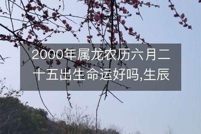 属龙农历六月出生的人 属龙人哪年运势不好