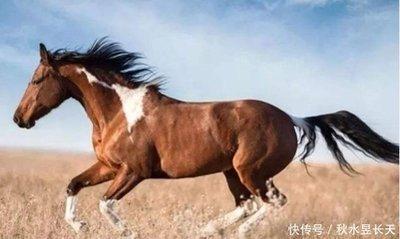 属马人最好命的出生月份 几月生的属马人命好