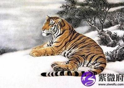 年运不佳命犯太岁 但有贵人相助的生肖