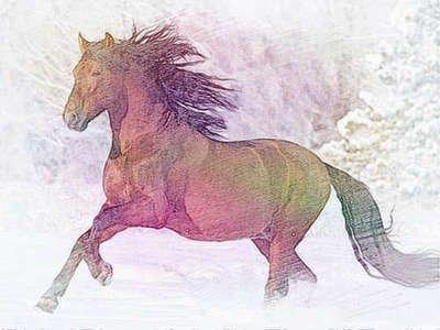 属马人最有利的方位 属马人的专属财运方位 属马人最有利的方位 属马人的专属财运方位