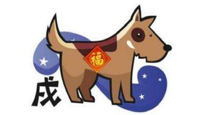 属龙和属猪的相配吗 属龙和属猪的人配对结果怎么样