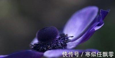 属马人运势分析：生肖马在明年气运旺盛的原因