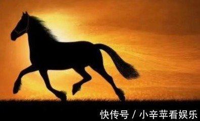 属马今年如何转运 2025年生肖马转运带什么