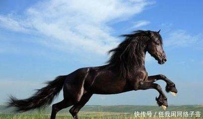 属马今年如何转运 2025年生肖马转运带什么