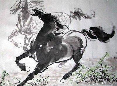 属马农历五月出生的人 生活中会遇到什么问题 属马农历五月出生的人 生活中会遇到什么问题