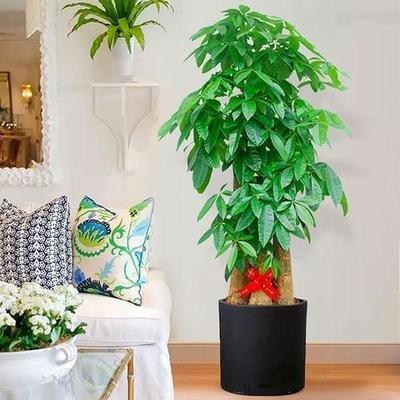 应该如何改善客厅风水 这些好方法能给你帮助