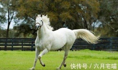 属马几月出生最不好 这几个月生的属马人命不好