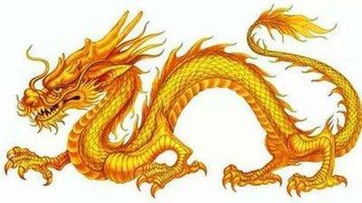 属龙女对你有意思表现 如何看出属龙对你否有意思