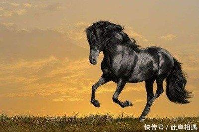 属马和属虎婚姻怎么样 属马人适合属虎人吗