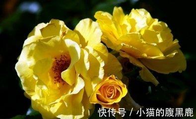 属龙男分手后的表现 会后悔和你分手吗