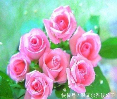 属龙男喜欢什么样女人 什么样的女人吸引属龙男