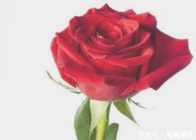 属龙男喜欢老婆什么样 对老婆的要求一一揭晓