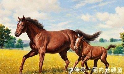 属马生肖跟什么相配 哪几个生肖更适合属马人