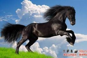 属马男人在意你的表现 教你如何征服属马男人