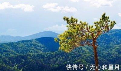属马男想追你会怎么做 属马男怎么追求喜欢的人