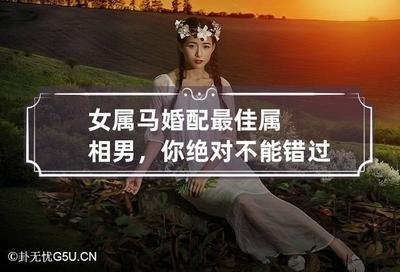 属马男生和什么属相最佳婚配幸福一辈子