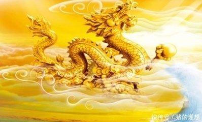 属龙的人蛇年婚姻运势感情如何 19年能遇见爱情吗