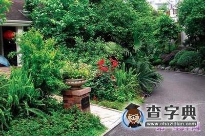 庭院绿化风水问题：庭院内种树有何风水讲究