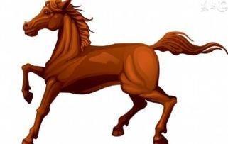 属马的和什么属相最配最旺财 最配属马人的生肖是什么