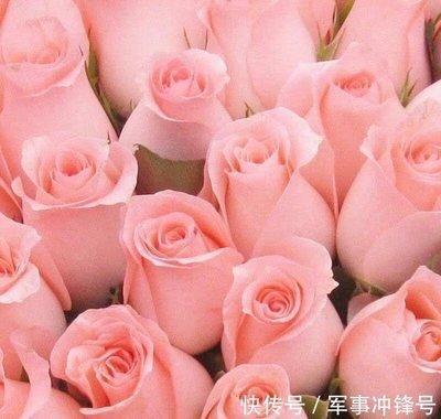 属龙的忘不了前任吗 为什么不能放下旧爱