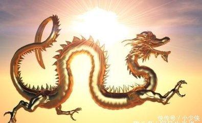 属龙的贵人有哪些 谁在2025蛇年成为属龙的贵人