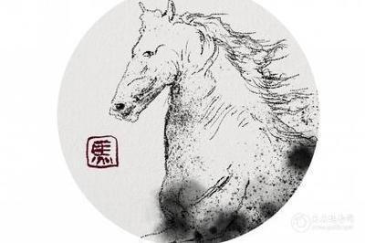 属马的男人和什么属相最配适合结婚