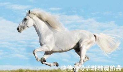 属马职场上的优势 属马怎么在职场中取得成功
