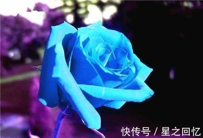 属马跟属猴的姻缘怎么样适合在一起吗