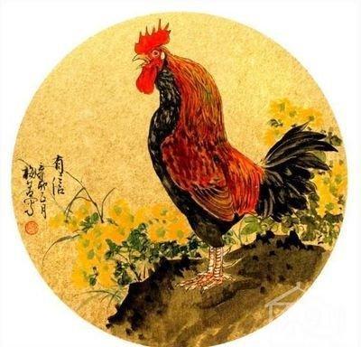 属鸡2025年下半年运势及运程吉凶