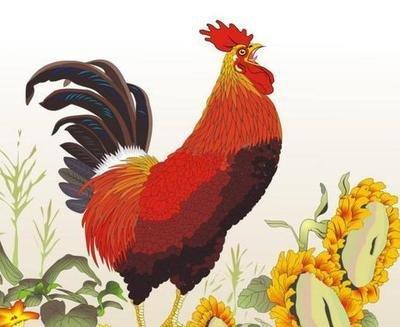 属鸡2025年财运如何 财运有什么需要注意