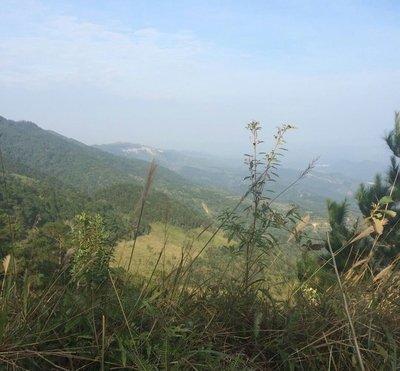 山根断的人竟是这样的 山根断的男女好不好
