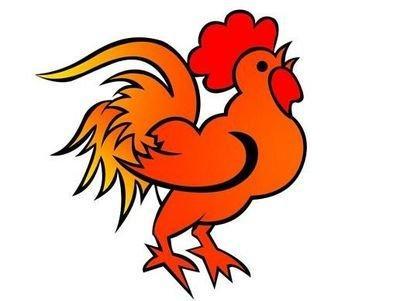 属鸡与什么相冲，属鸡和什么属相相冲