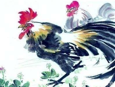 属鸡与属狗合吗 生肖相害的人在一起对谁不好