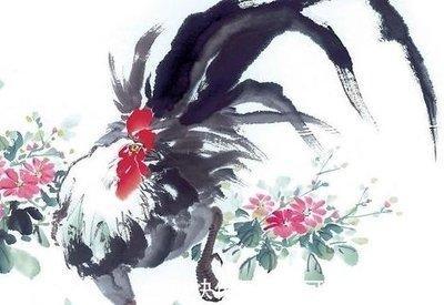 属鸡人2025年桃花运,2025属鸡的桃花位在哪