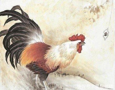 属鸡人2025年该怎样提升财运和运气