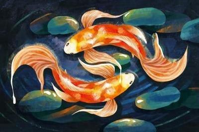 开门见鱼缸风水好不好 摆放鱼缸需要注意什么